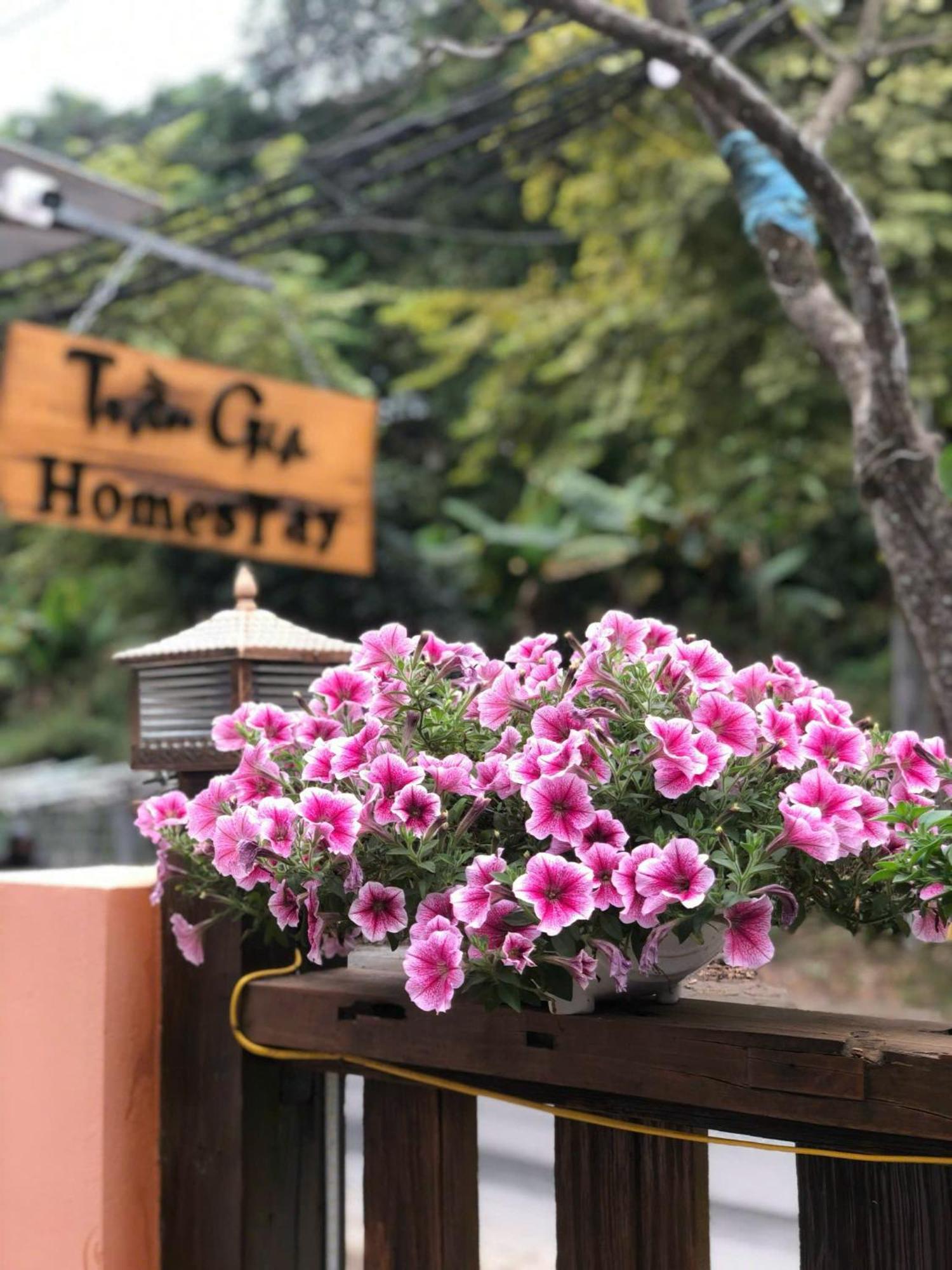 Tran Gia Homestay Nghia Lo Exterior photo